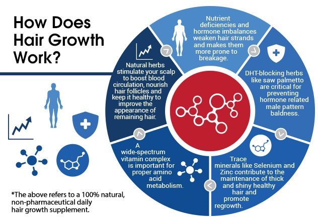 A circular graph infographic that explains how hair growth occurs.